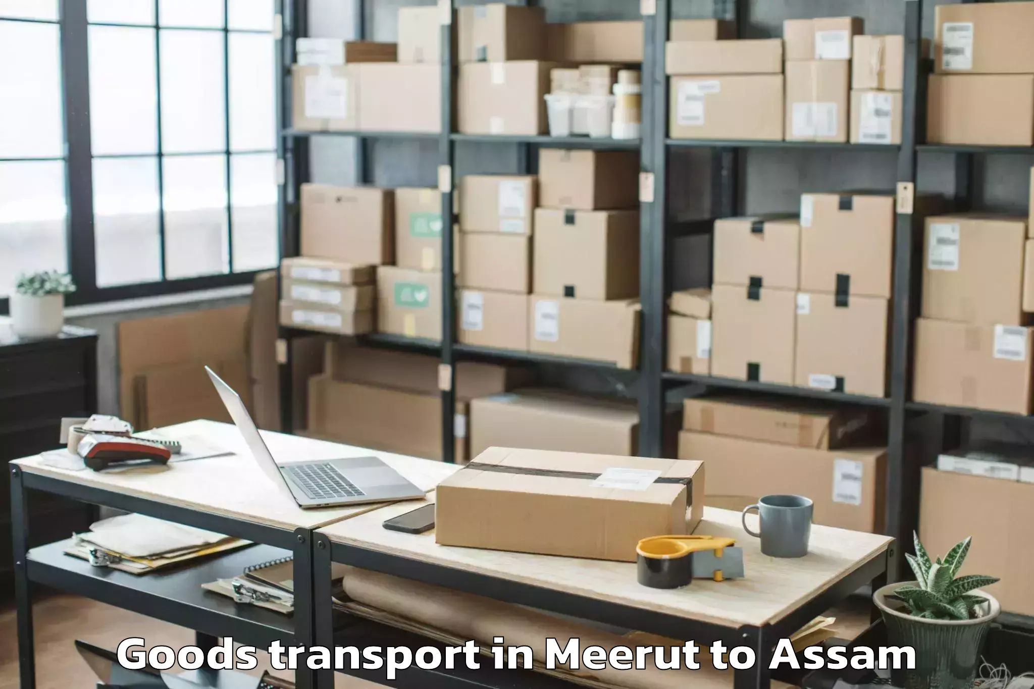 Reliable Meerut to Mirza Goods Transport